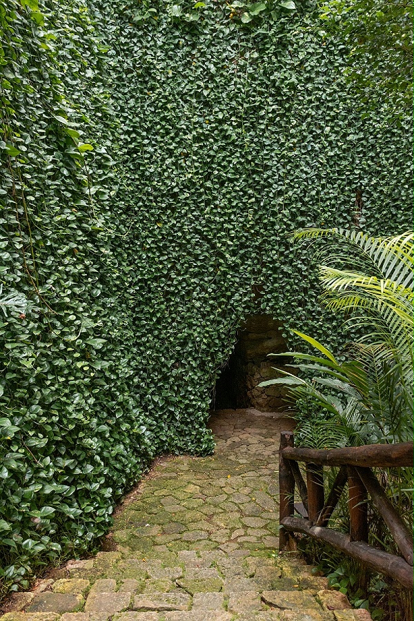 亿伽设计-汤泉设计-Destino Mio疗愈酒店:重新定义奢华与持续性 亿伽设计-汤泉设计-Destino Mio疗愈酒店:重新定义奢华与持续性